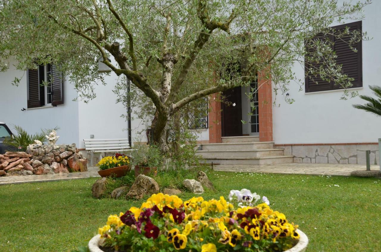 Il Grifo Hotel Sabaudia Luaran gambar